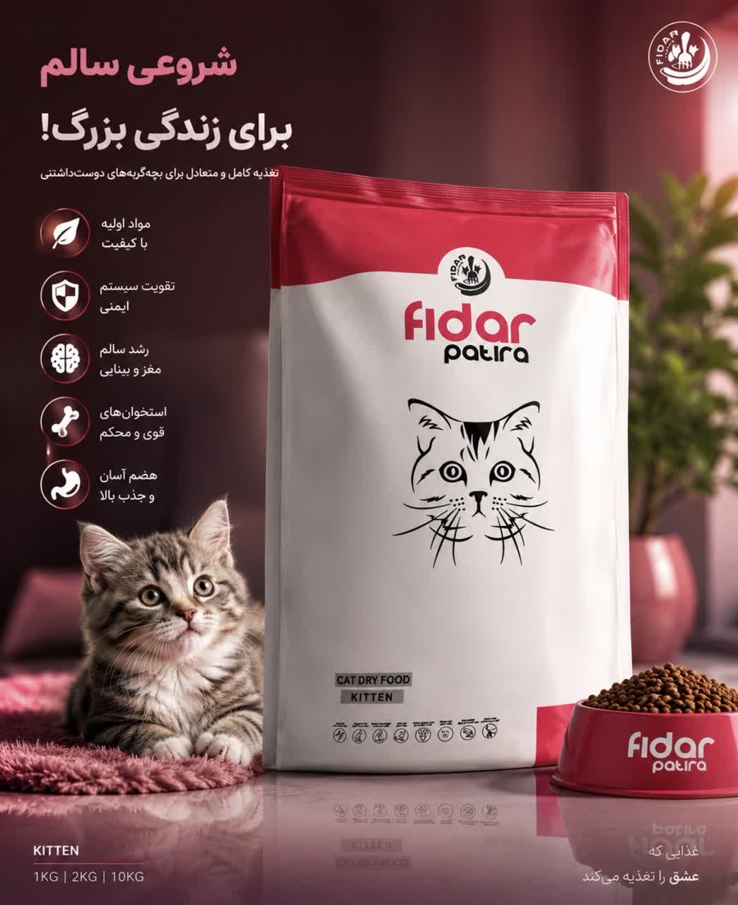 خوراک بچه گربه فیدار